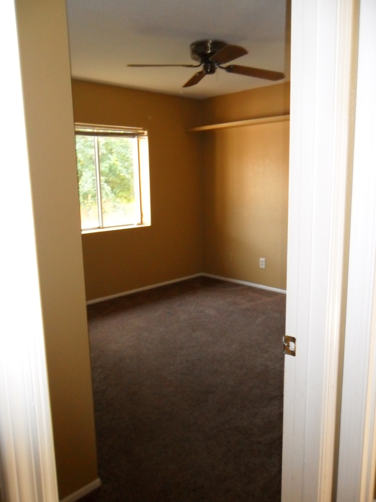 4555 East Hearn Road Phoenix, AZ 85032 - Photo 6 of 15 Secondary bedroom
