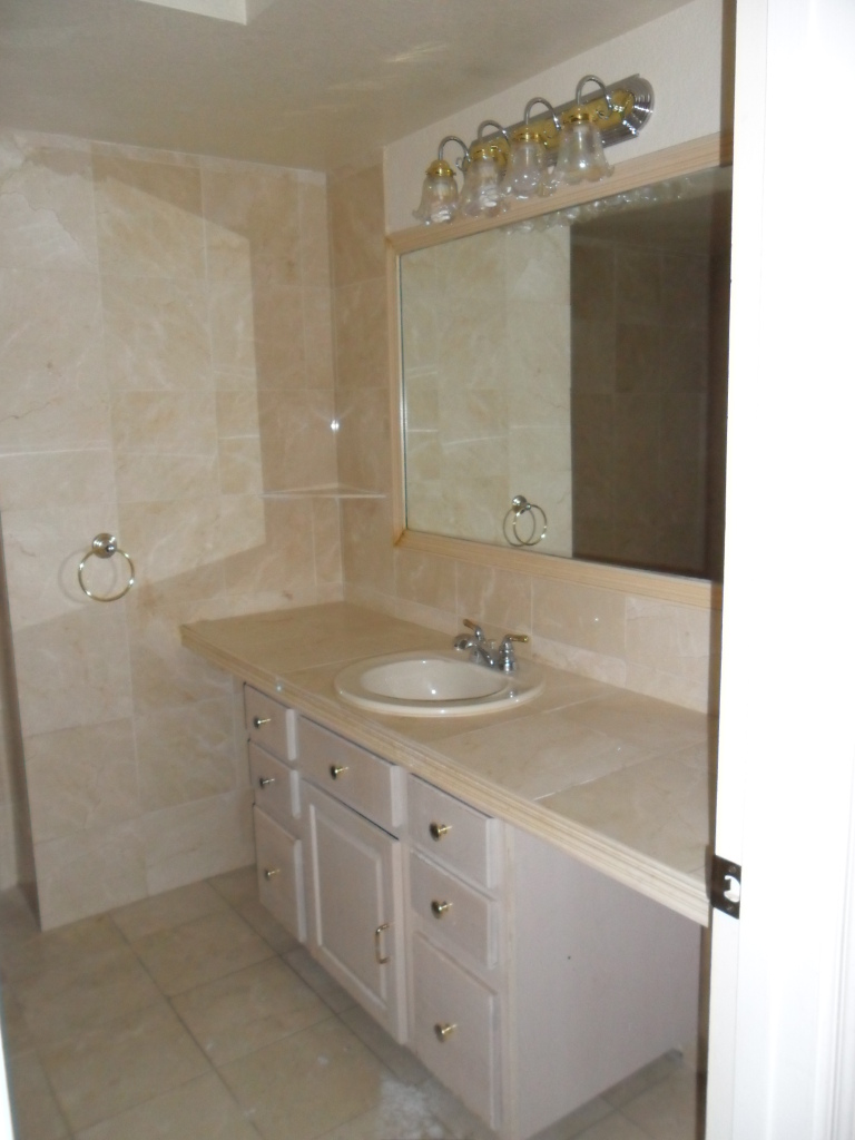 4555 East Hearn Road Phoenix, AZ 85032 - Photo 9 of 15 Secondary bath