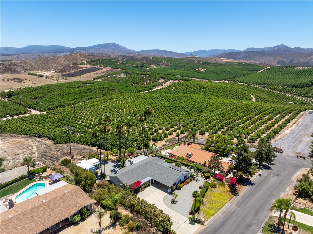 26660 Rim Road Hemet, CA 92544 - Photo 46 of 49