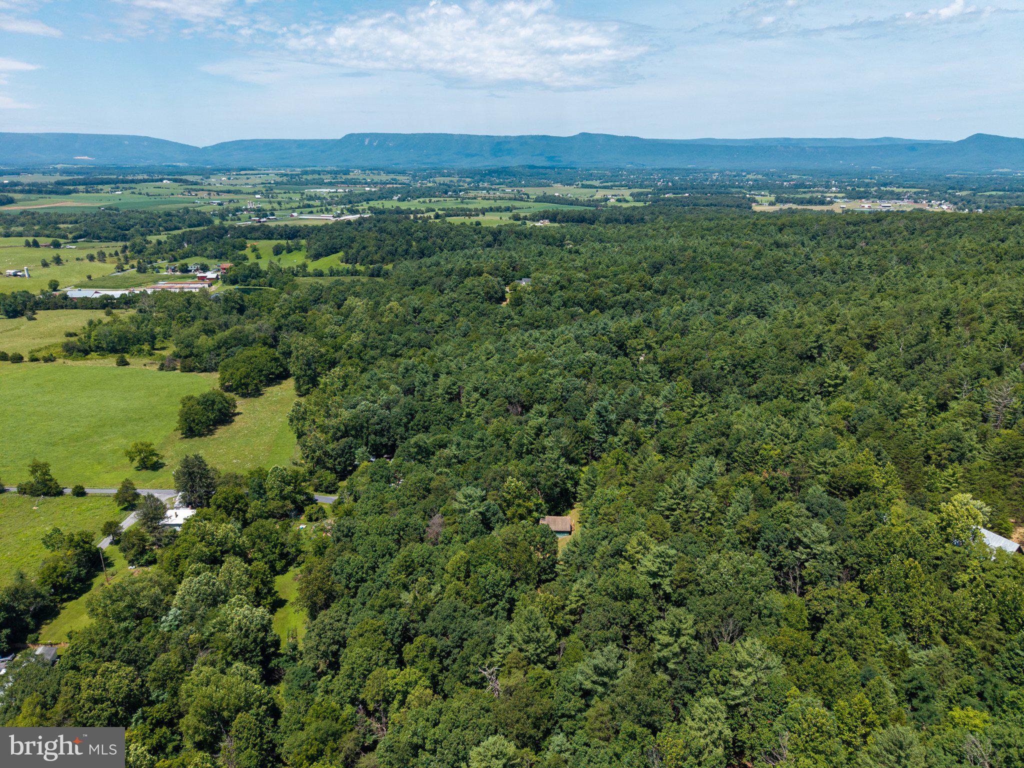 Lot 4 Somers Road Luray, VA 22835 - Photo 16 of 20 Lush green landscape meets serene skies.