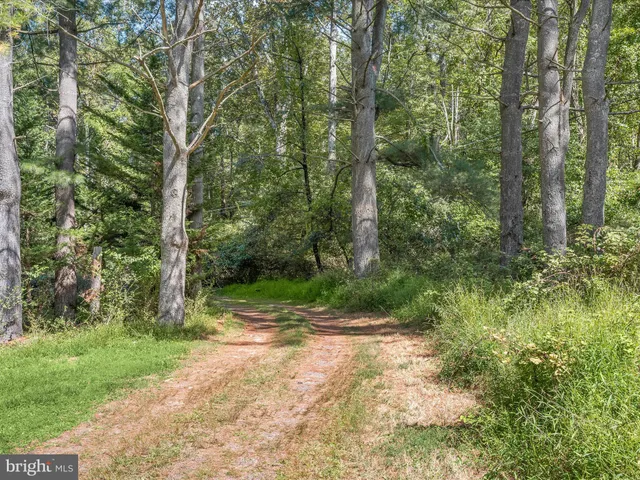 a view of outdoor space and yard