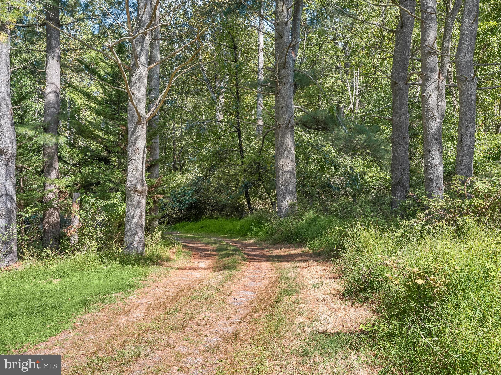 17515 Masemore Road Parkton, MD 21120 - Photo 26 of 36 a view of backyard