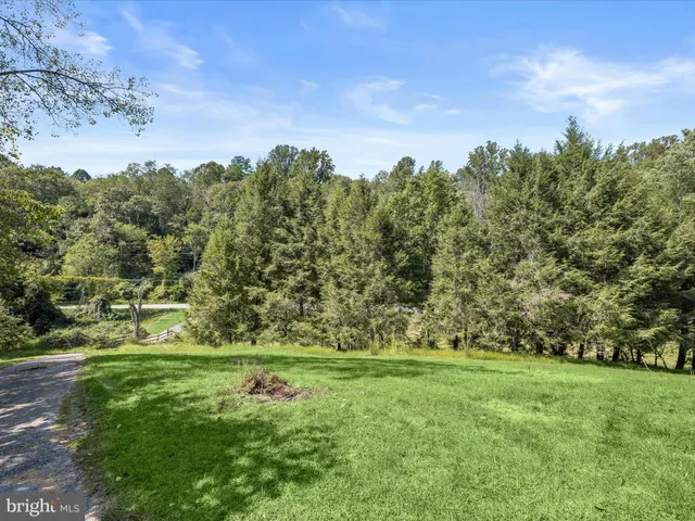 a big yard with lots of green space and plants