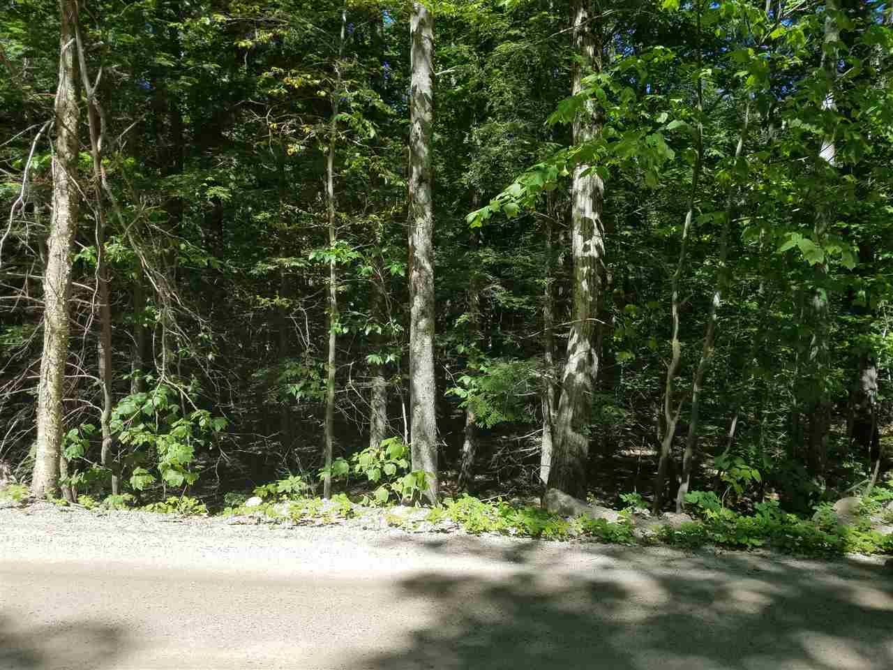 10 Rod Road, Unit LOT 6 Farmington, NH 03835 - Photo 2 of 6