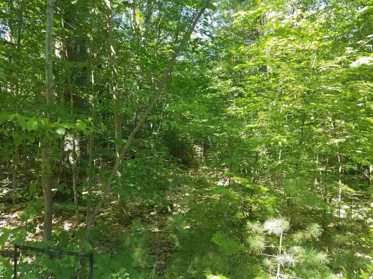 10 Rod Road, Unit LOT 6 Farmington, NH 03835 - Photo 3 of 6