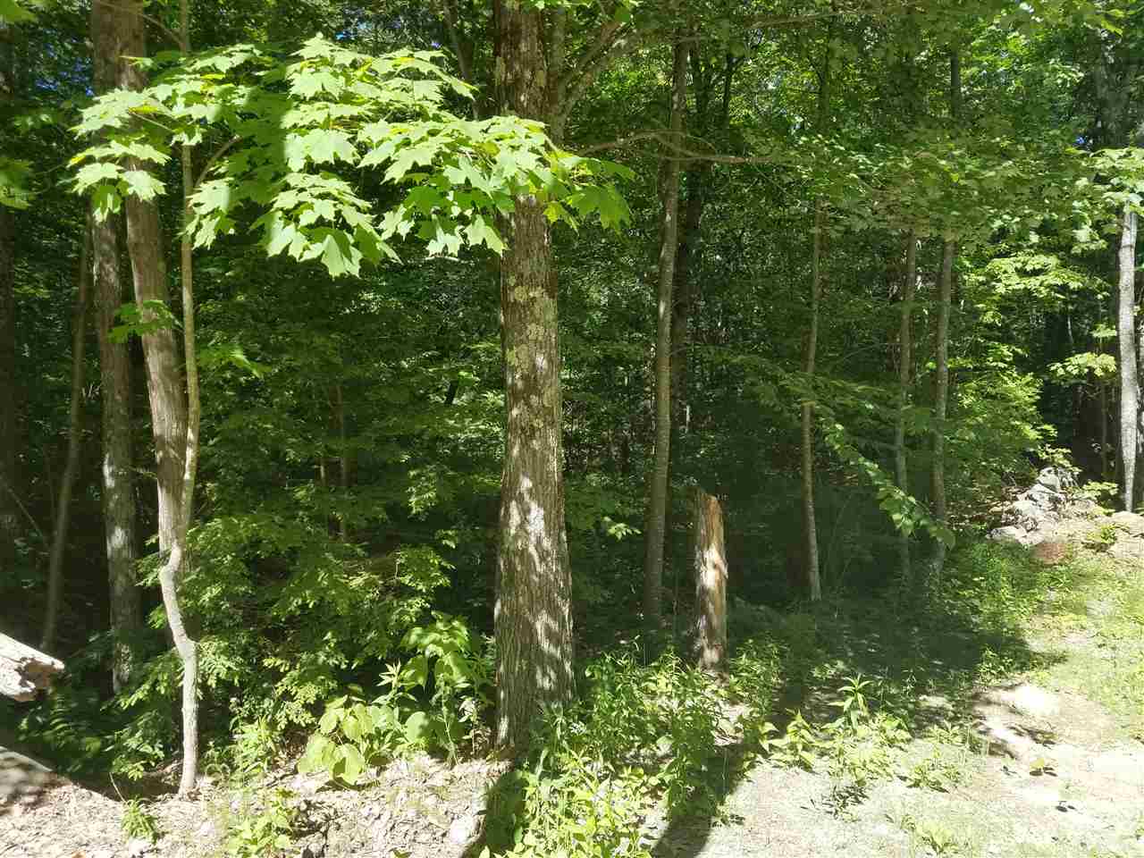 10 Rod Road, Unit LOT 6 Farmington, NH 03835 - Photo 4 of 6