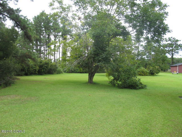 364 Gillikin Road Beaufort, NC 28516 - Photo 6 of 15 Backyard