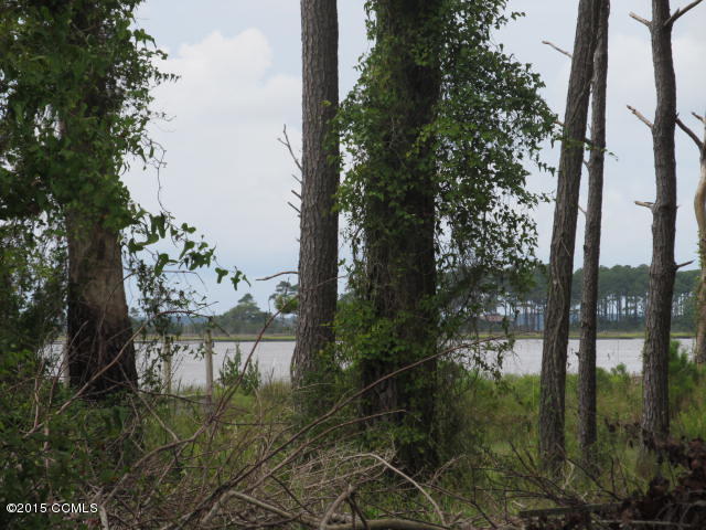 364 Gillikin Road Beaufort, NC 28516 - Photo 7 of 15 Leopard Creek