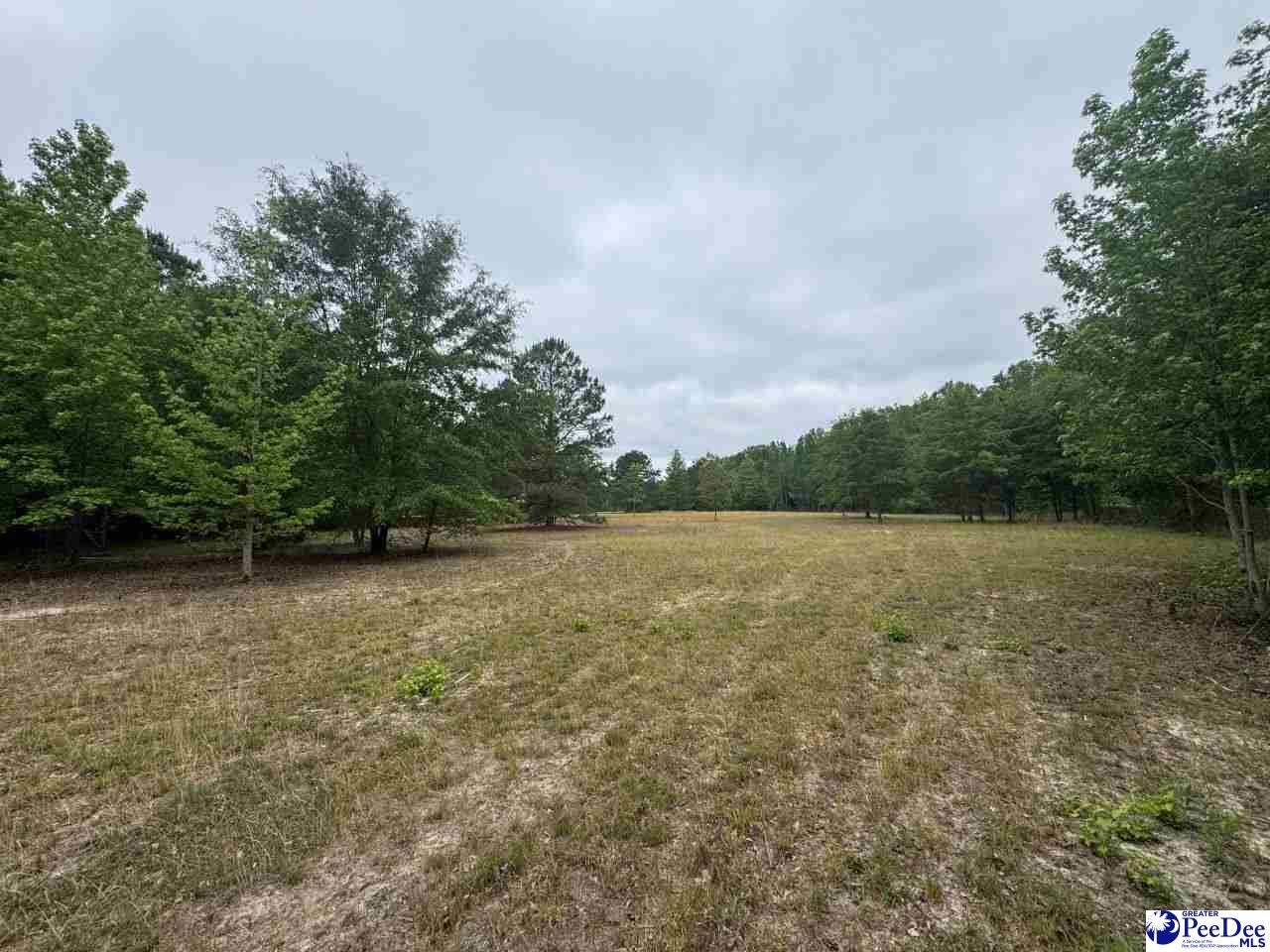 Daniel Chapel Road McColl, SC 29570 - Photo 31 of 42 Gallery Image 31