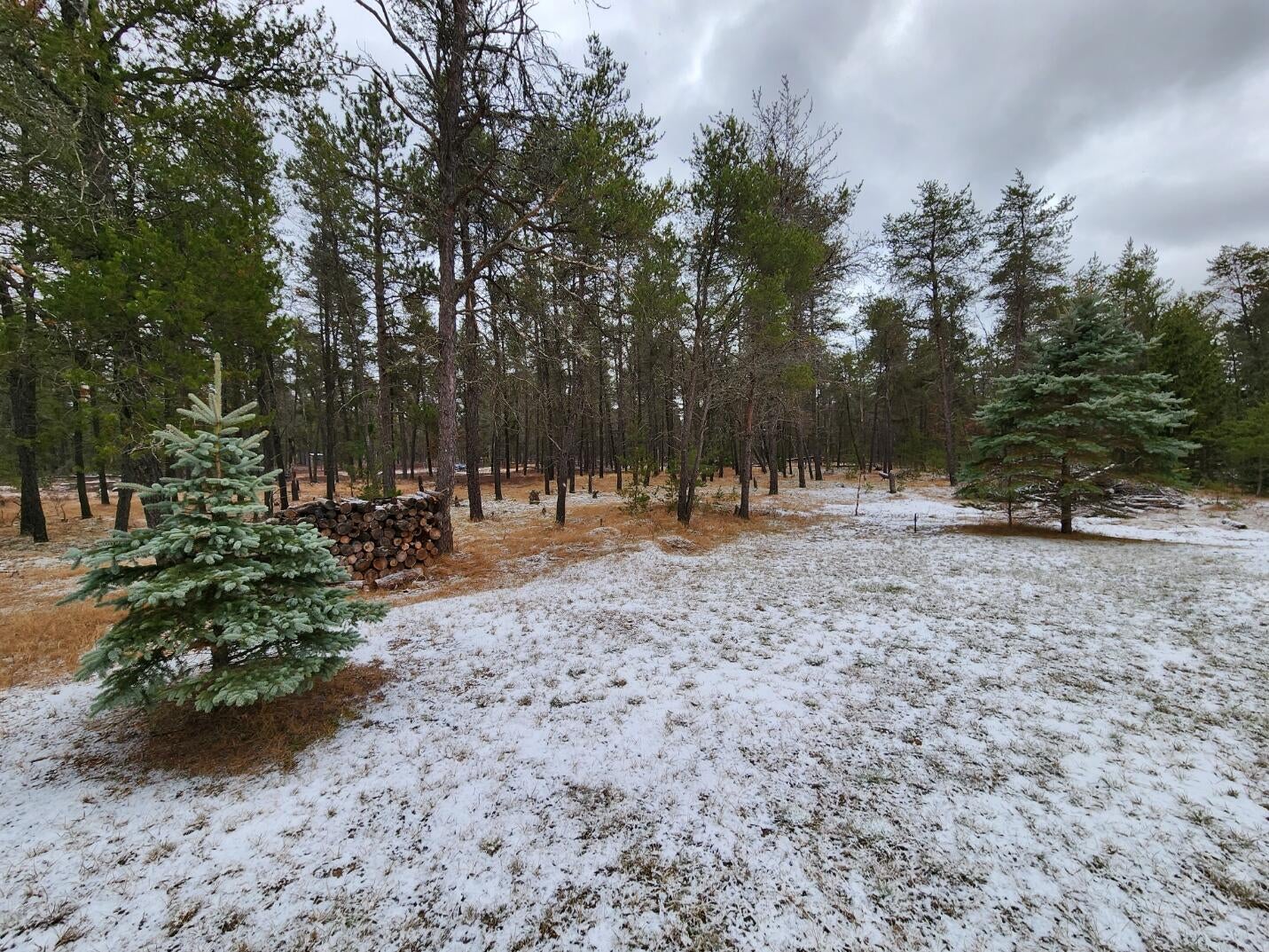 10260 Hunter Lake Road Roscommon, MI 48653 - Photo 38 of 40 Gallery Image 38