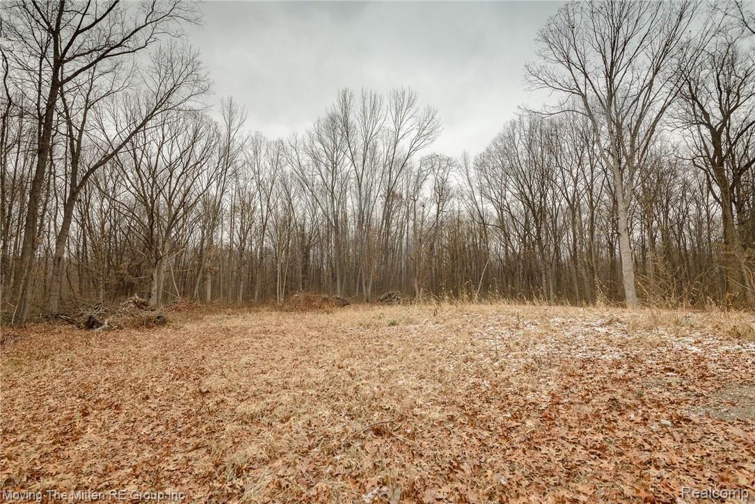 46400 Arkona Road Belleville, MI 48111 - Photo 26 of 37 MTM_46400_arkona-25.jpg