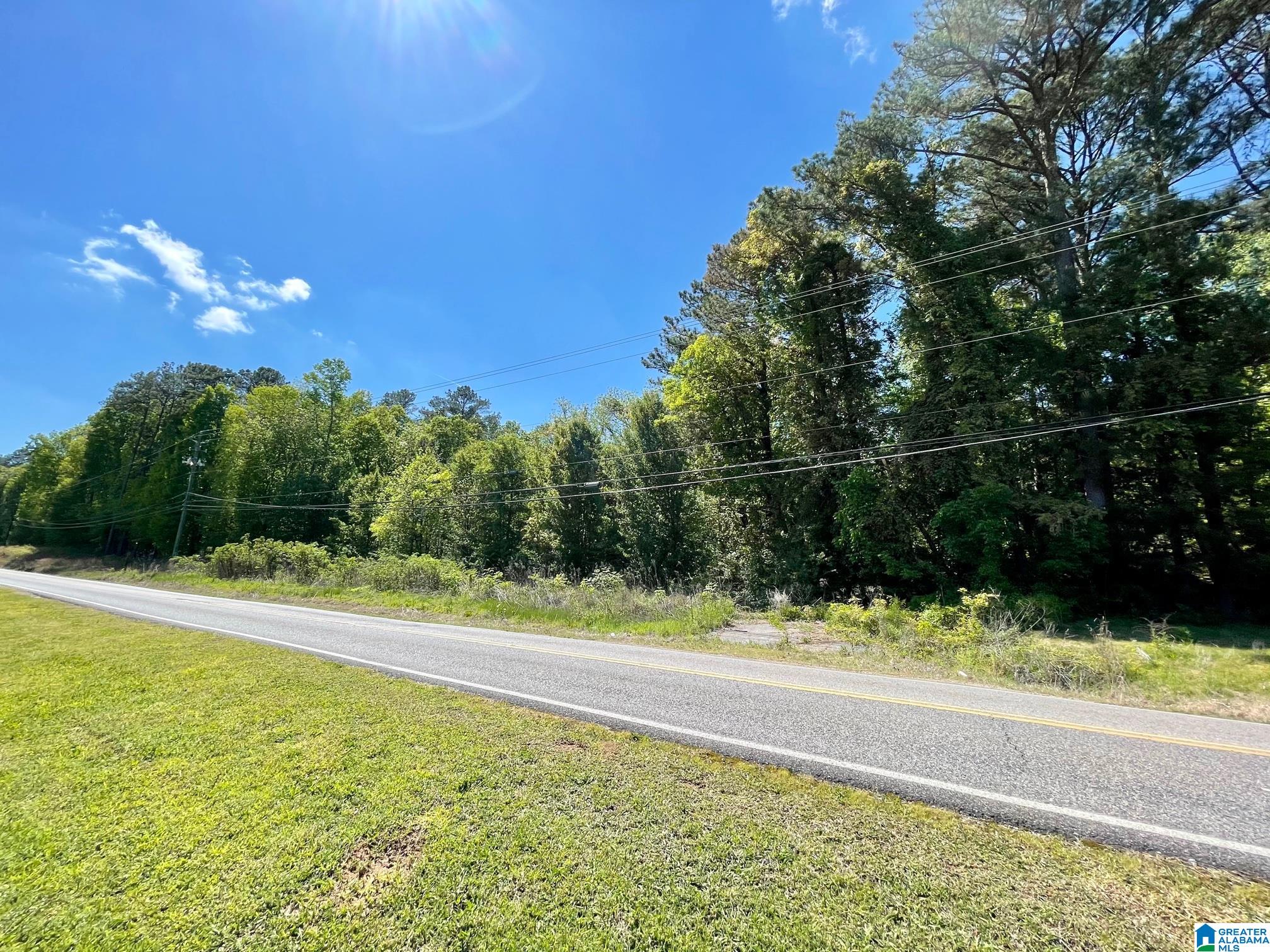 7228 Old Springville Road Pinson, AL 35126 - Photo 9 of 16 Gallery Image 9