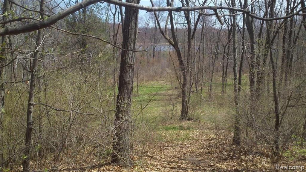 V/l V/l Doyle Road Pinckney, MI 48169 - Photo 10 of 24