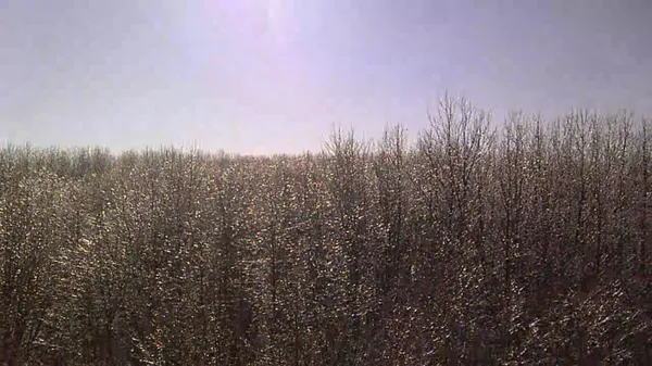 $169,900 | V/l 135th Avenue, Evart, MI 49631