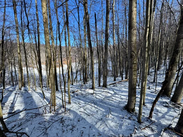 $169,900 | V/l 135th Avenue, Evart, MI 49631