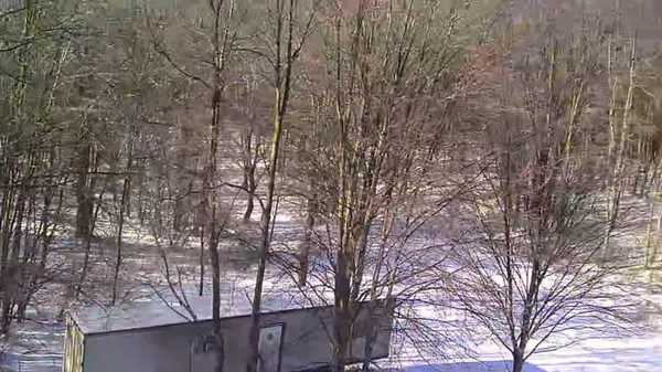 $169,900 | V/l 135th Avenue, Evart, MI 49631