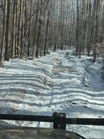 $169,900 | V/l 135th Avenue, Evart, MI 49631