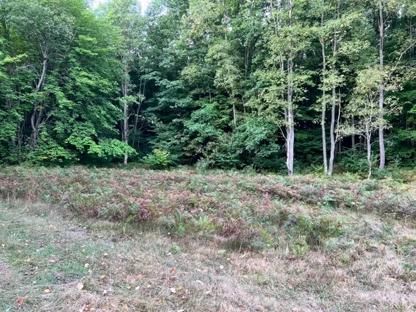 $169,900 | V/l 135th Avenue, Evart, MI 49631