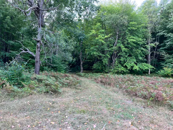 $169,900 | V/l 135th Avenue, Evart, MI 49631