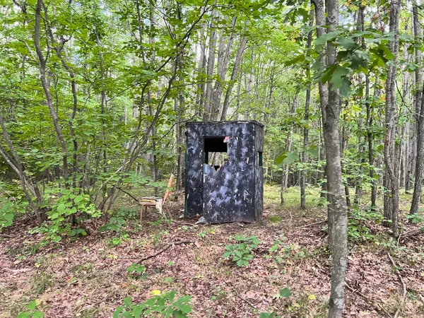 $169,900 | V/l 135th Avenue, Evart, MI 49631