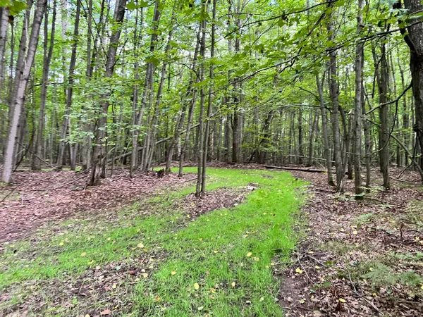 $169,900 | V/l 135th Avenue, Evart, MI 49631