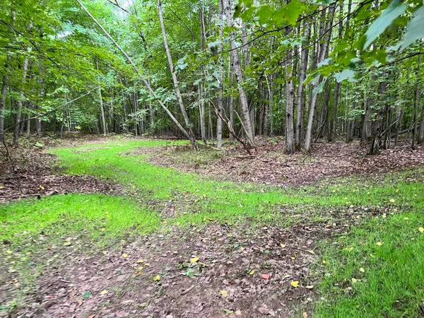 $169,900 | V/l 135th Avenue, Evart, MI 49631