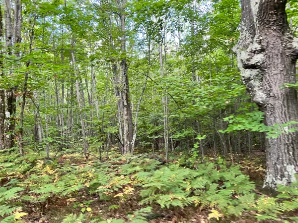 $169,900 | V/l 135th Avenue, Evart, MI 49631