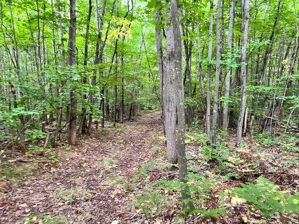 $169,900 | V/l 135th Avenue, Evart, MI 49631