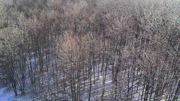 $169,900 | V/l 135th Avenue, Evart, MI 49631