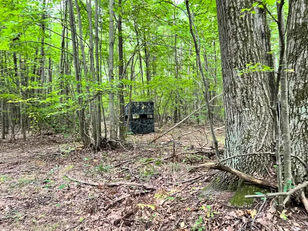 $169,900 | V/l 135th Avenue, Evart, MI 49631