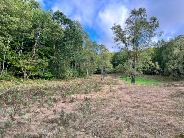 $169,900 | V/l 135th Avenue, Evart, MI 49631