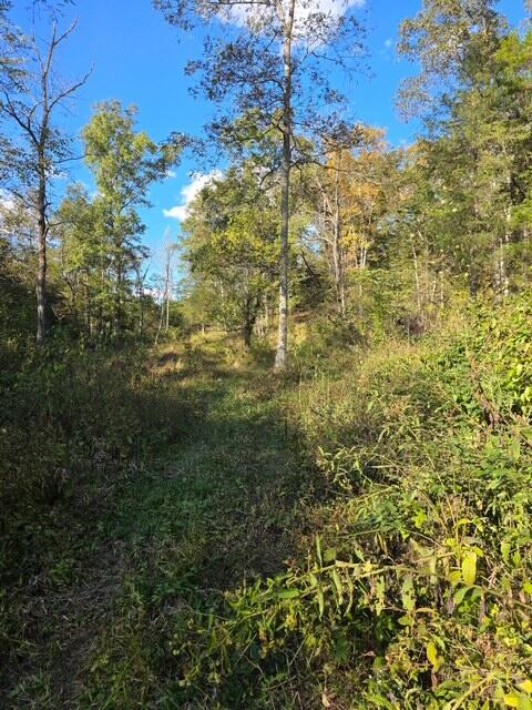 408 Mattox Road Falmouth, KY 41040 - Photo 9 of 28
