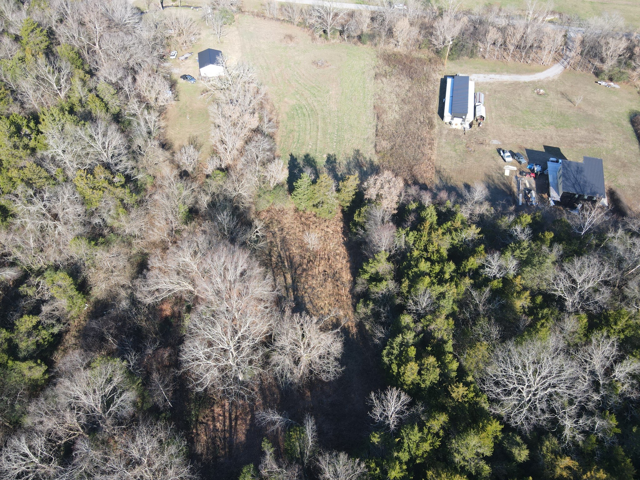 0 Norton's Branch Road Beechgrove, TN 37018 - Photo 3 of 11 Gallery Image 3
