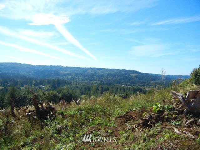12 Hansen Road Woodland, WA 98674 - Photo 1 of 1 Gallery Image 1
