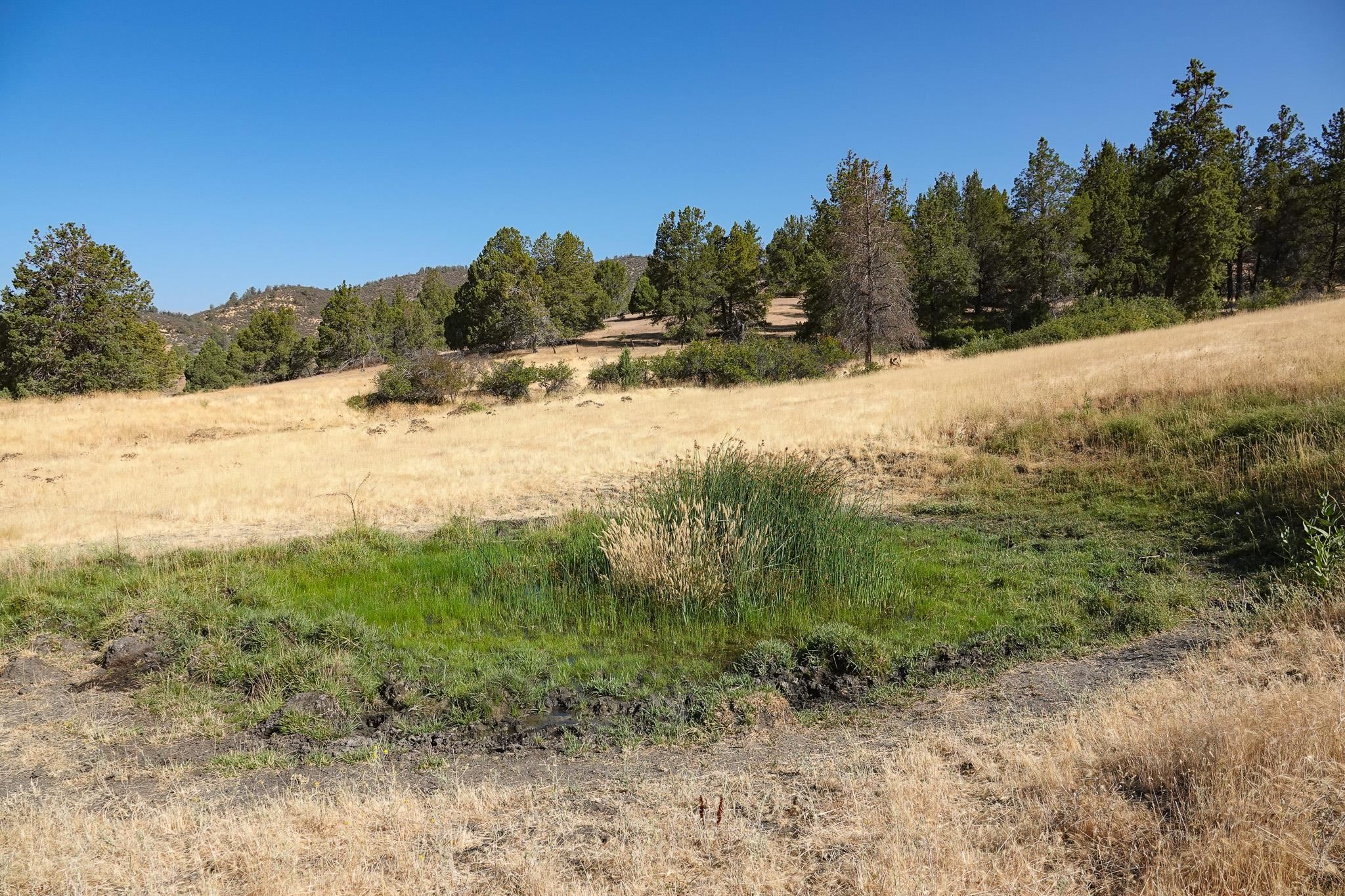 7557 Scarface Road Fort Jones, CA 96032 - Photo 38 of 47 Gallery Image 38