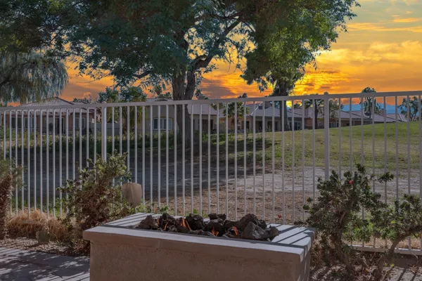 a view of a garden with a tree in the background
