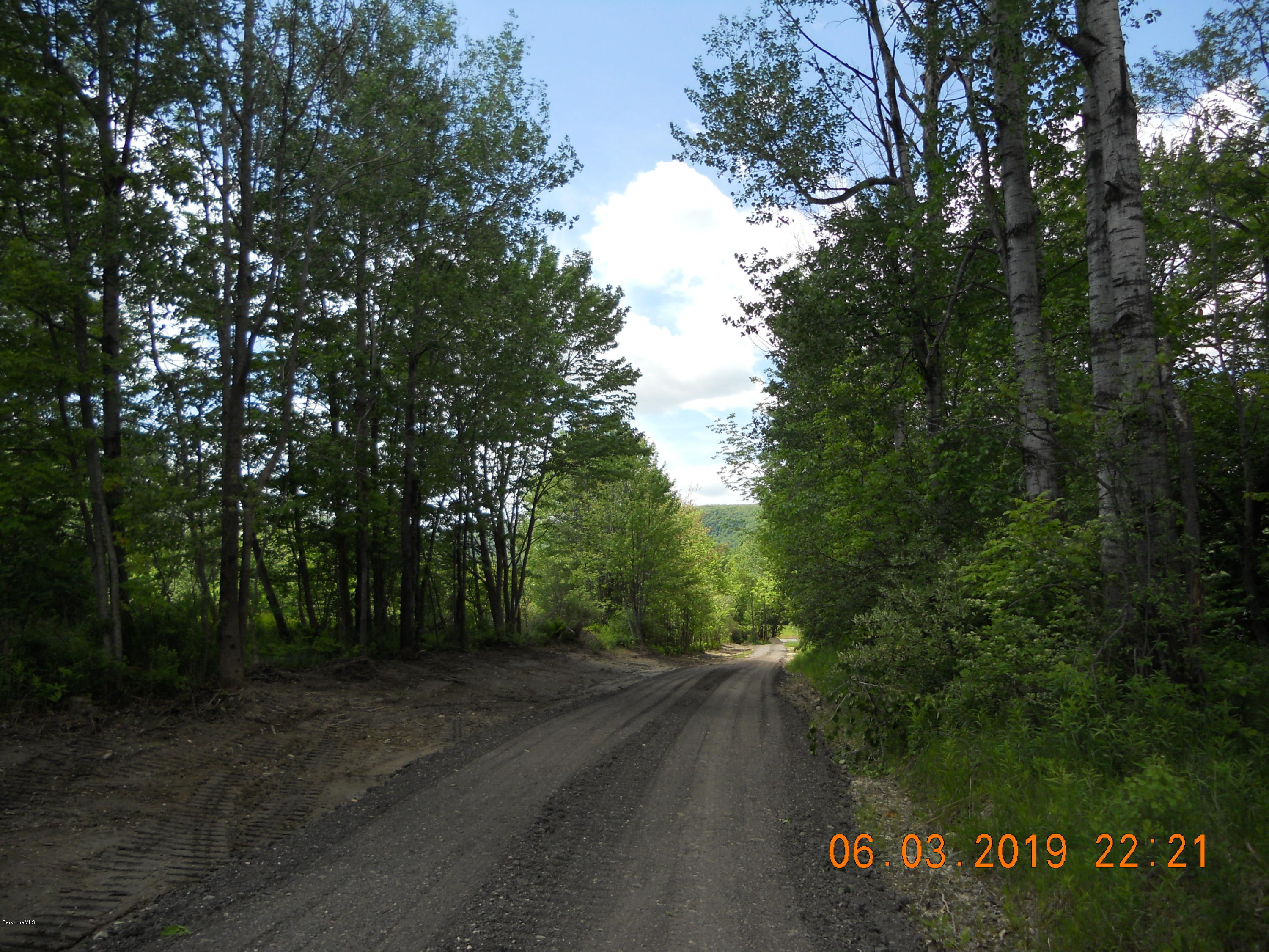 828 Wells Road Cheshire, MA 01225 - Photo 2 of 11 Private long driveway