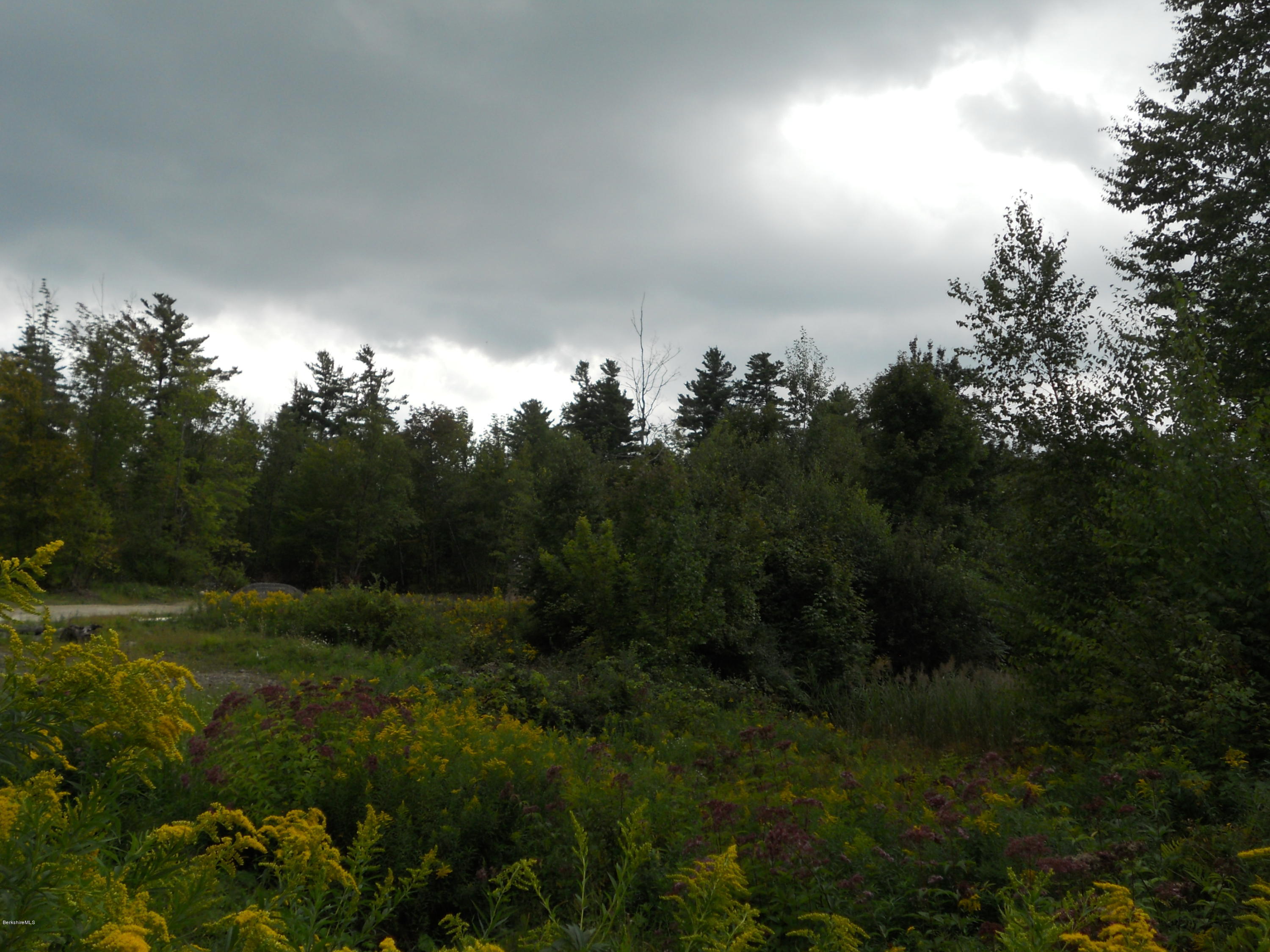 828 Wells Road Cheshire, MA 01225 - Photo 11 of 11 Lot view