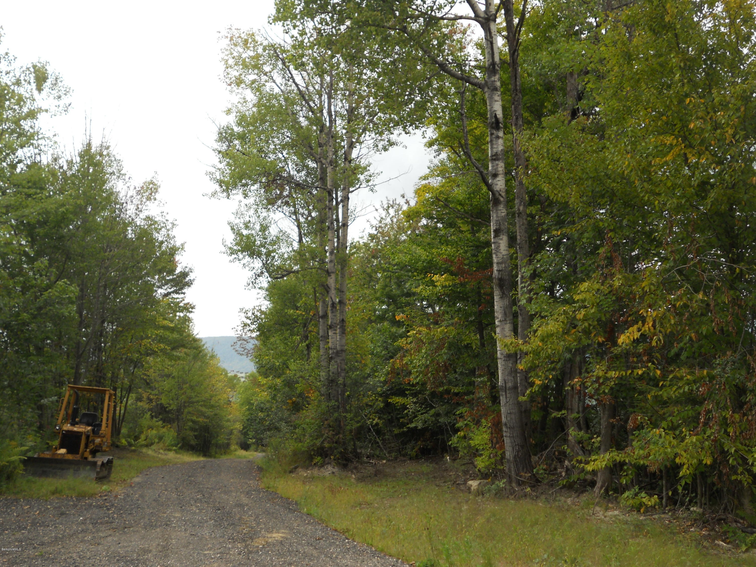 828 Wells Road Cheshire, MA 01225 - Photo 10 of 11 Driveway