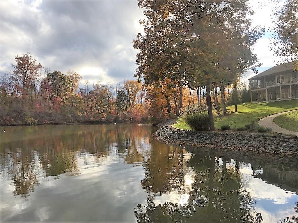 270 Cedar Bay Road Union Hall, VA 24176 - Photo 53 of 77 View from dock