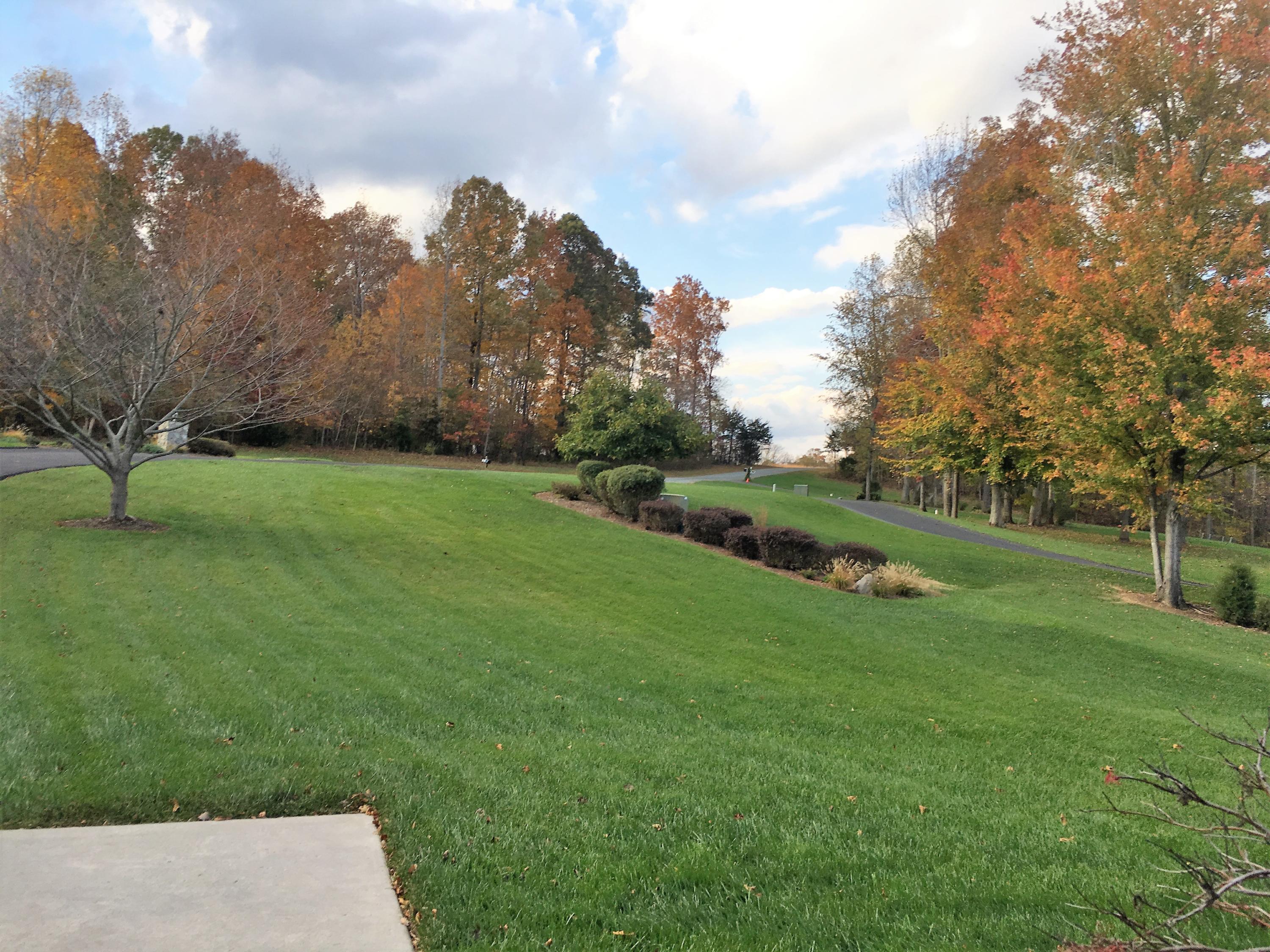 270 Cedar Bay Road Union Hall, VA 24176 - Photo 59 of 77 Front yard