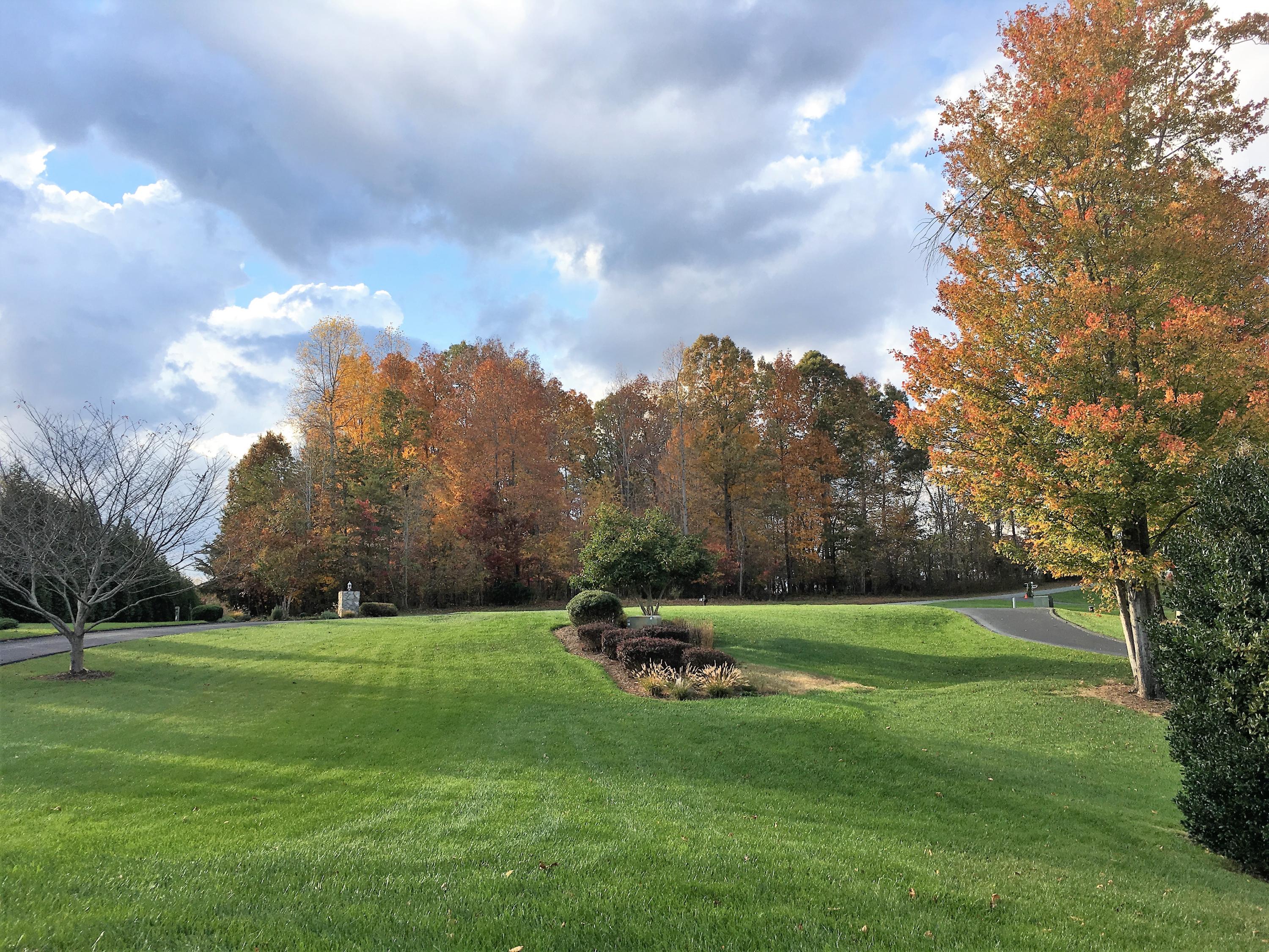 270 Cedar Bay Road Union Hall, VA 24176 - Photo 60 of 77 Front yard wow