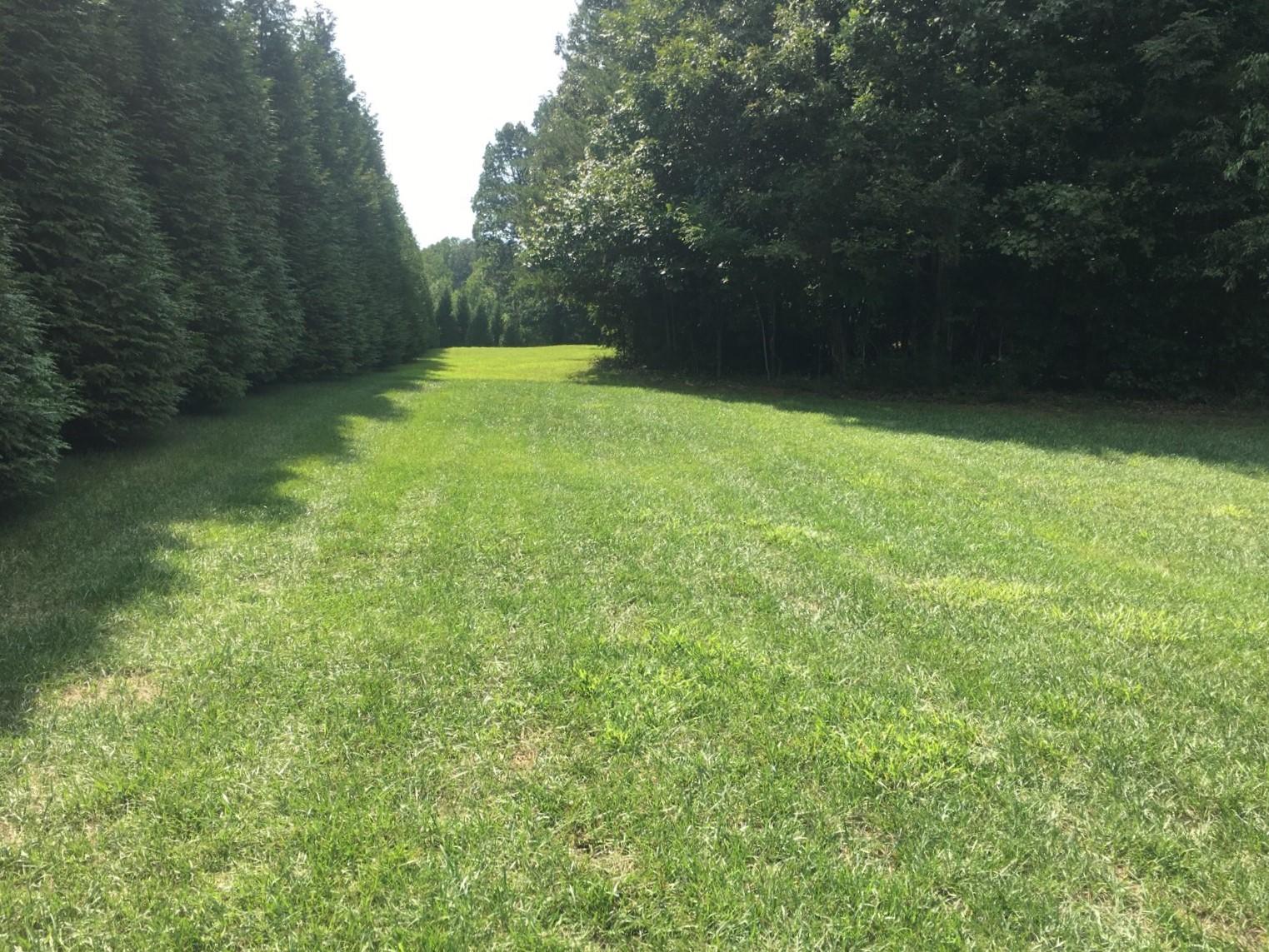 270 Cedar Bay Road Union Hall, VA 24176 - Photo 62 of 77 Part of lot that is across the street