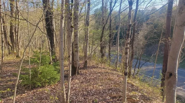 $34,900 | Walker Road, Deerfield, NY 13502