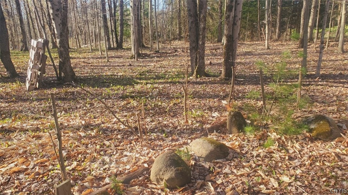 Walker Road Deerfield, NY 13502 - Photo 12 of 23