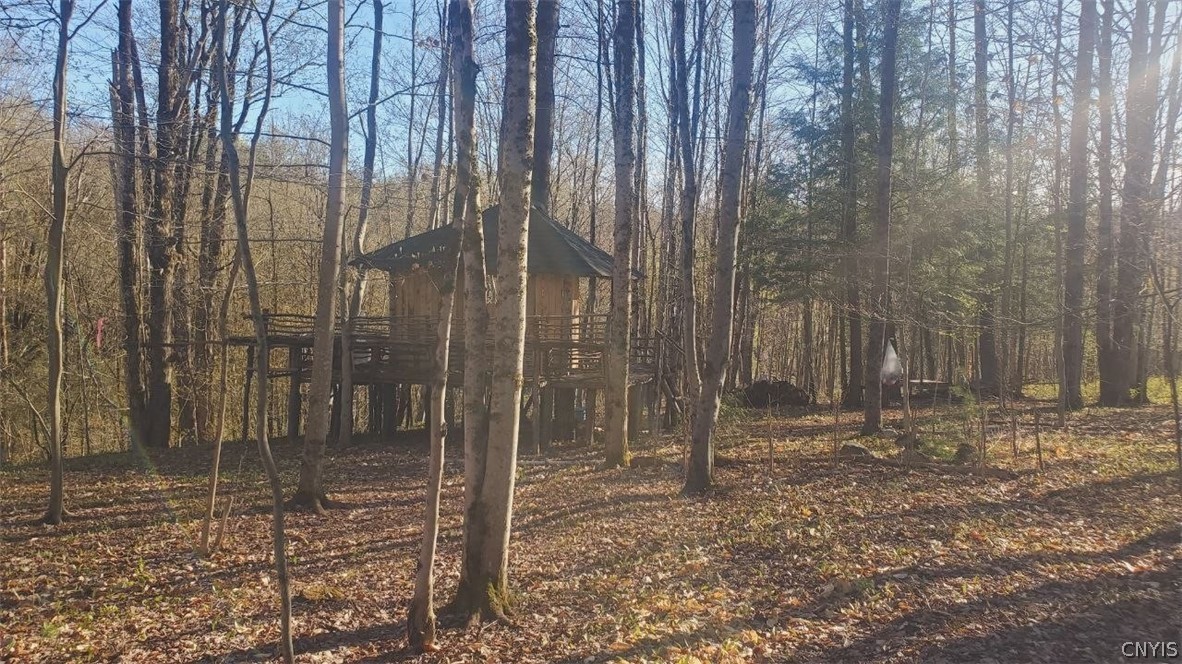 Walker Road Deerfield, NY 13502 - Photo 13 of 23