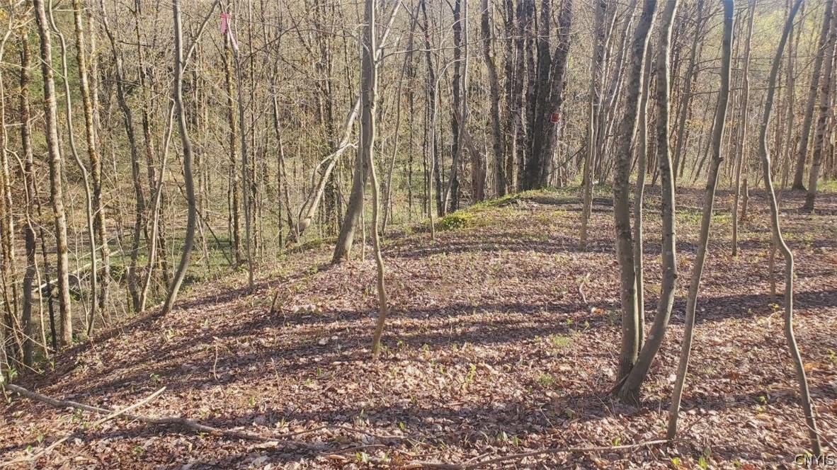 Walker Road Deerfield, NY 13502 - Photo 14 of 23