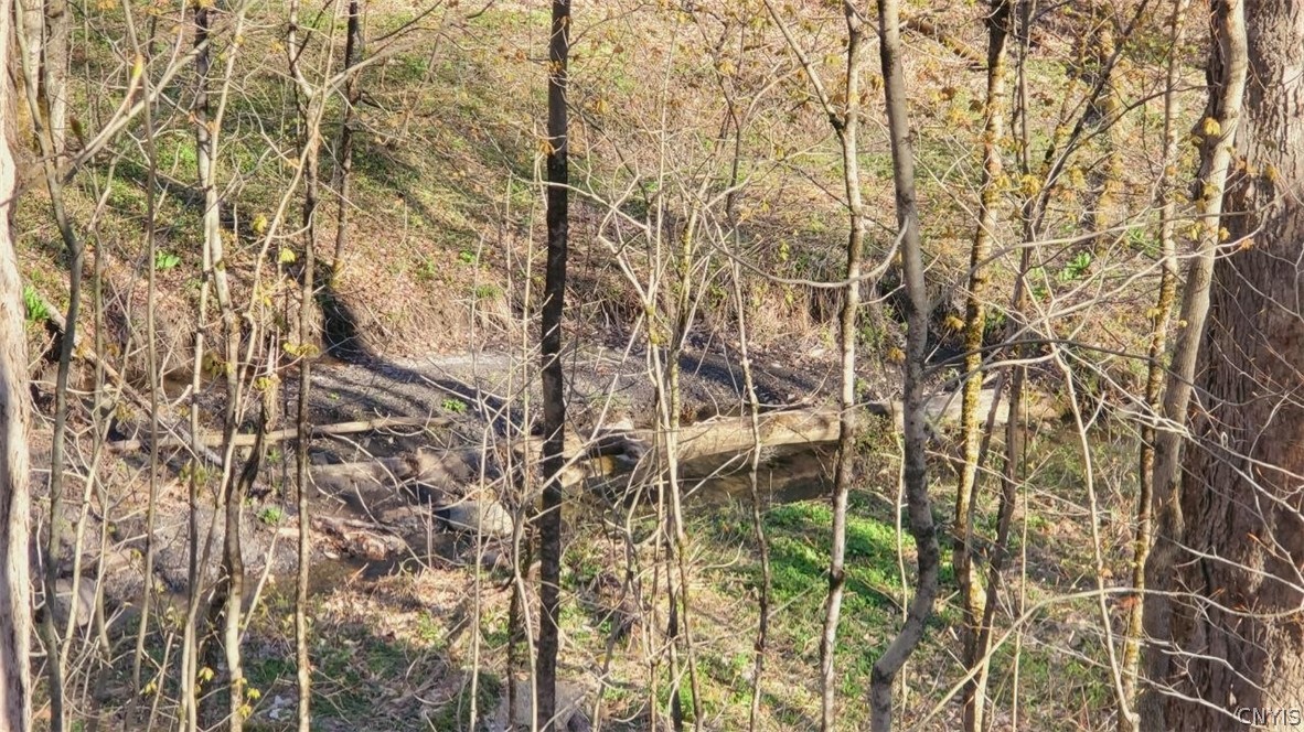 Walker Road Deerfield, NY 13502 - Photo 15 of 23