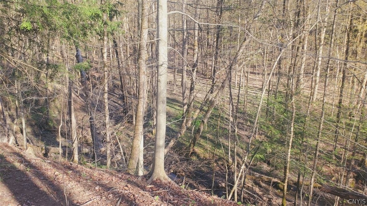Walker Road Deerfield, NY 13502 - Photo 16 of 23