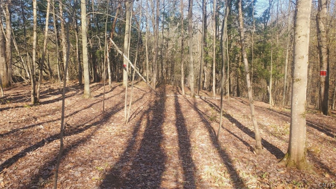 Walker Road Deerfield, NY 13502 - Photo 17 of 23